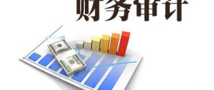 企業(yè)為什么要做財(cái)務(wù)審計(jì)？
