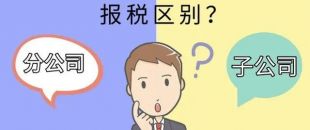 設(shè)立分公司和子公司，哪個(gè)更節(jié)稅？看完就明白了！