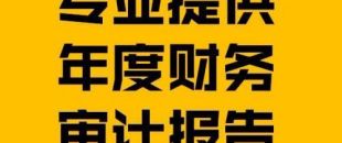 財務(wù)報表審計報告的費用是多少？